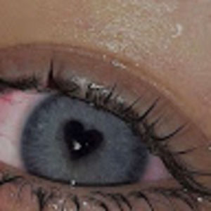 Meet your Posher, Xyourxlocalxhoex